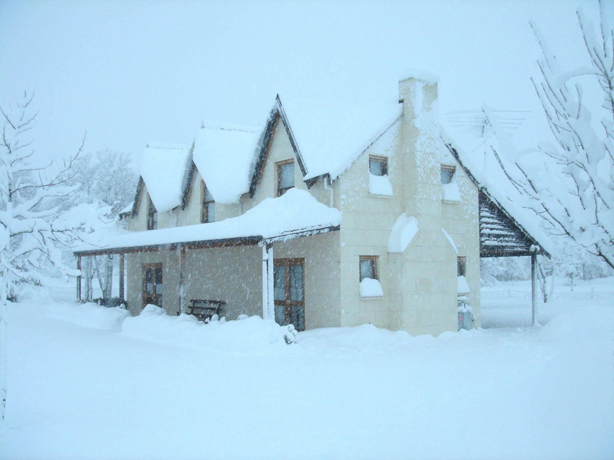 Whitestone Cottages Windwhistle Extérieur photo